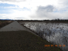 DSCN0057.JPG
