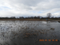 DSCN0058.JPG