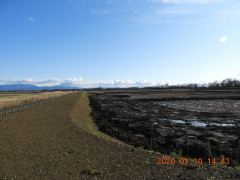 DSCN0060.JPG