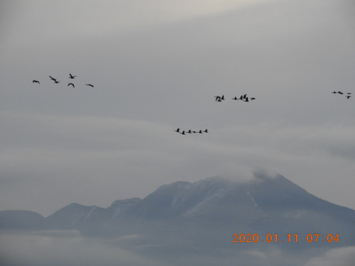 DSCN0072.JPG