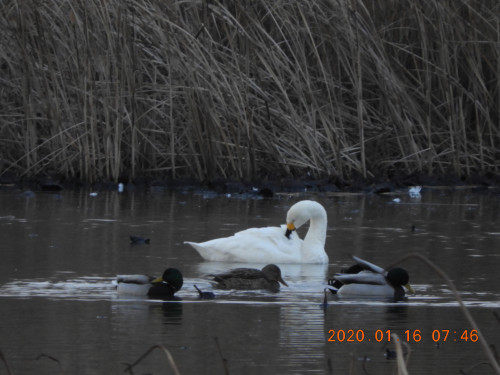 DSCN0022.JPG