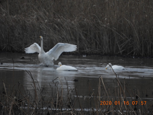 DSCN0048.JPG