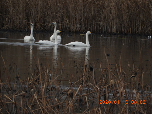 DSCN0054.JPG
