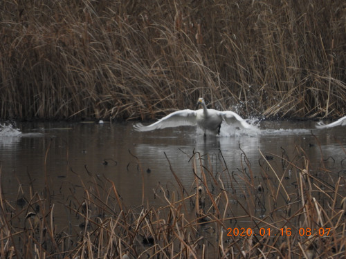 DSCN0058.JPG