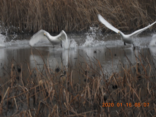 DSCN0060.JPG
