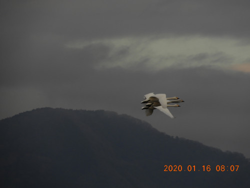 DSCN0064.JPG
