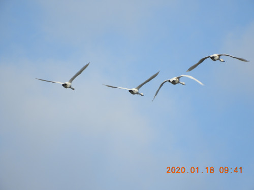DSCN0098.JPG