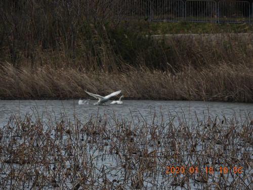 DSCN0106.JPG