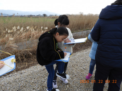 DSCN0206.JPG
