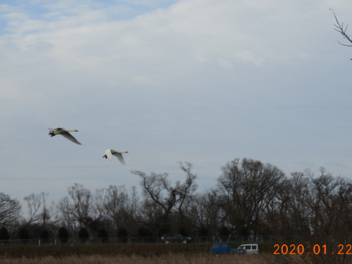 RSCN0237.JPG