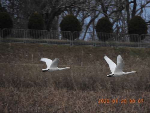 DSCN0304.JPG