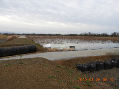 DSCN0328.JPG