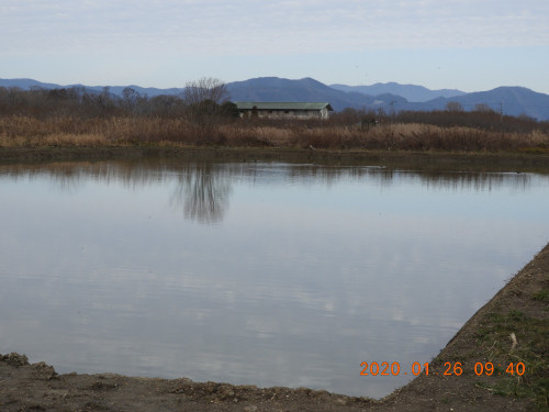 DSCN0398.JPG