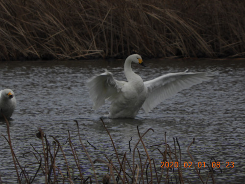 DSCN0514.JPG