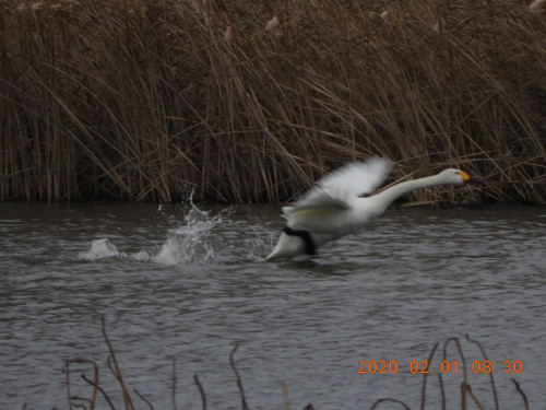 DSCN0524.JPG