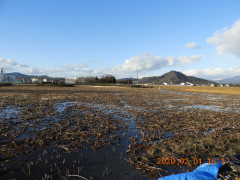 DSCN0554.JPG