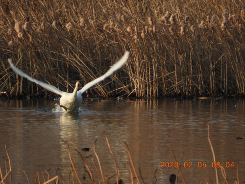 DSCN0578.JPG