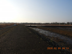 DSCN0590.JPG