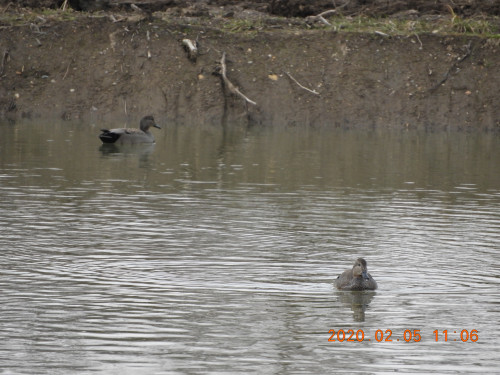 DSCN0622.JPG