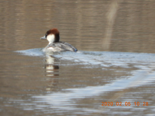 DSCN0600.JPG