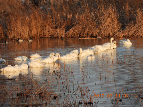 DSCN0631.JPG