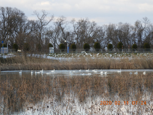 DSCN0654.JPG