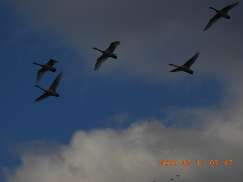 DSCN0690.JPG
