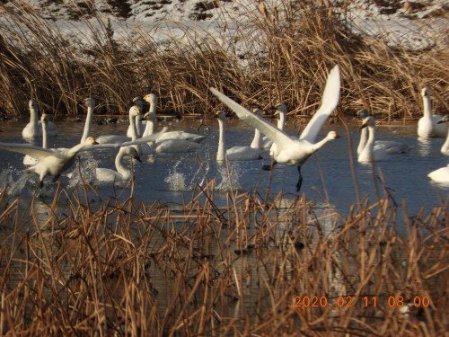 DSCN0696.JPG