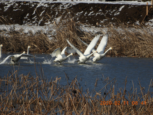 DSCN0745.JPG