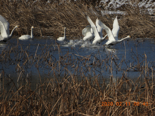 DSCN0786.JPG