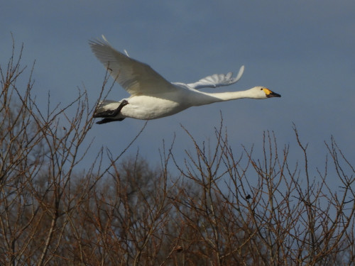 RSCN0809.JPG