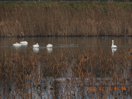DSCN0998.JPG