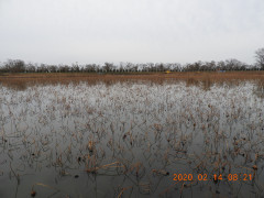 DSCN1015.JPG