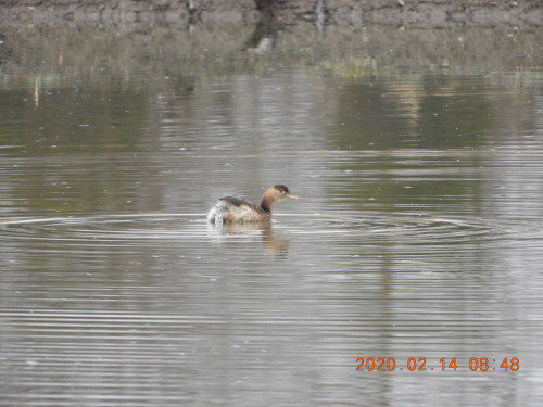 DSCN1040.JPG
