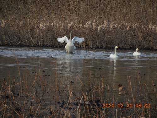 DSCN1066.JPG