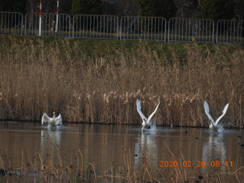 DSCN1074.JPG