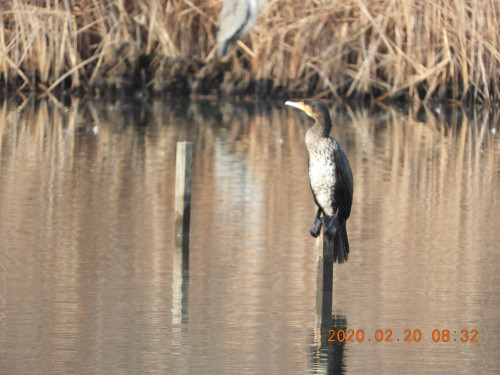 DSCN1096.JPG