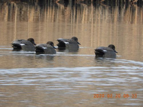 DSCN1098.JPG