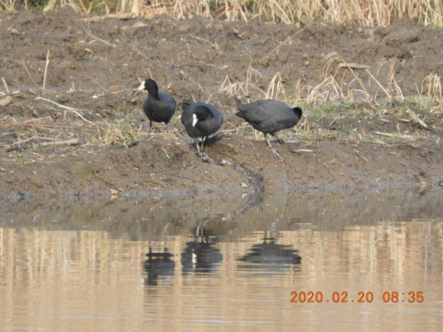 DSCN1101.JPG