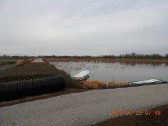 DSCN1263.JPG