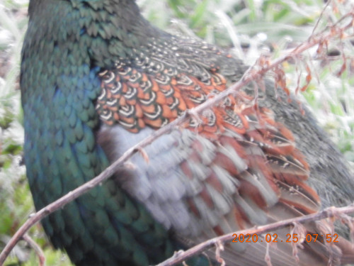 DSCN1267.JPG