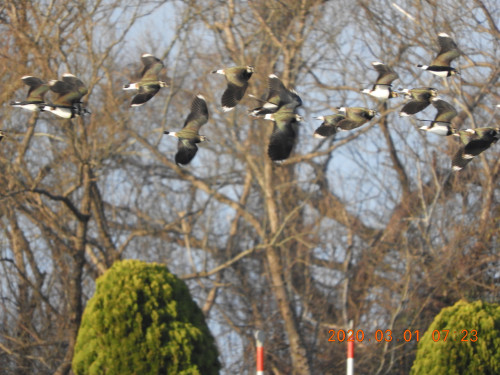 DSCN1848.JPG