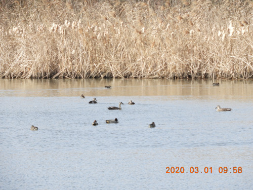 DSCN2105.JPG