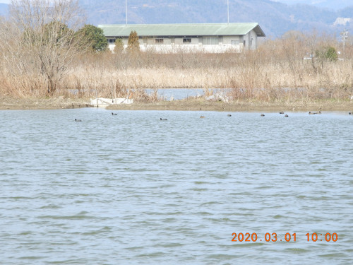 DSCN2107.JPG