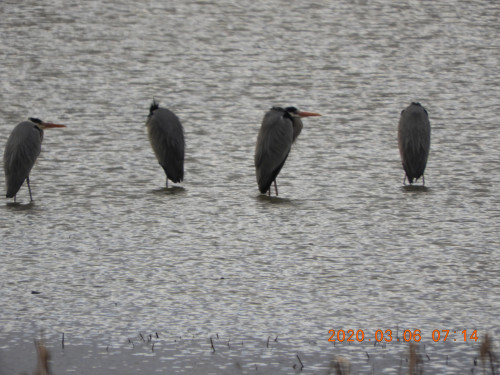 DSCN2207.JPG