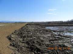 DSCN2210.JPG