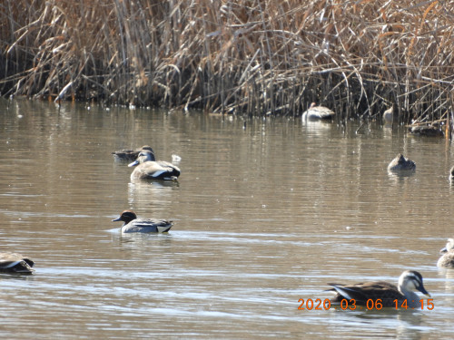 DSCN2215.JPG