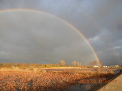 DSCN2234.JPG