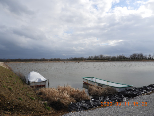 DSCN2346.JPG