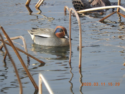 DSCN2348.JPG